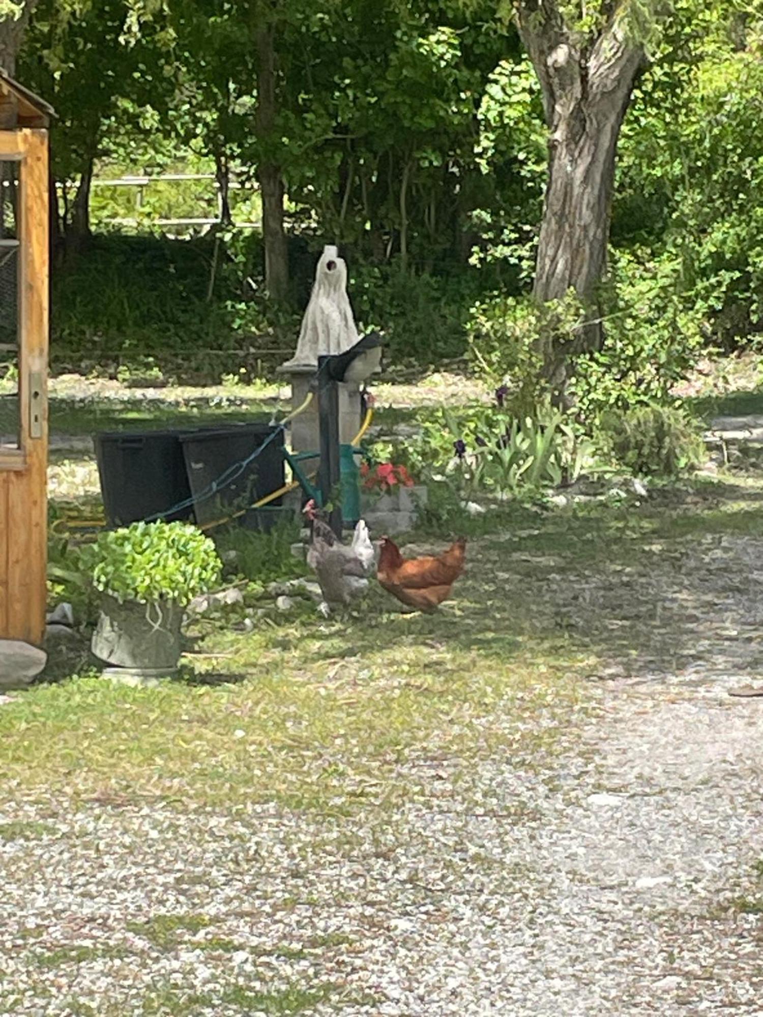 Campingplatz La Roulotte Chez Camille
